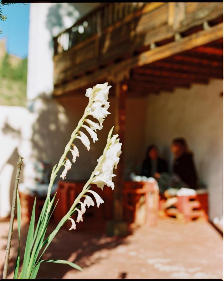 Casa Rural Lomito Del Pino 克鲁兹·德·特赫达 外观 照片