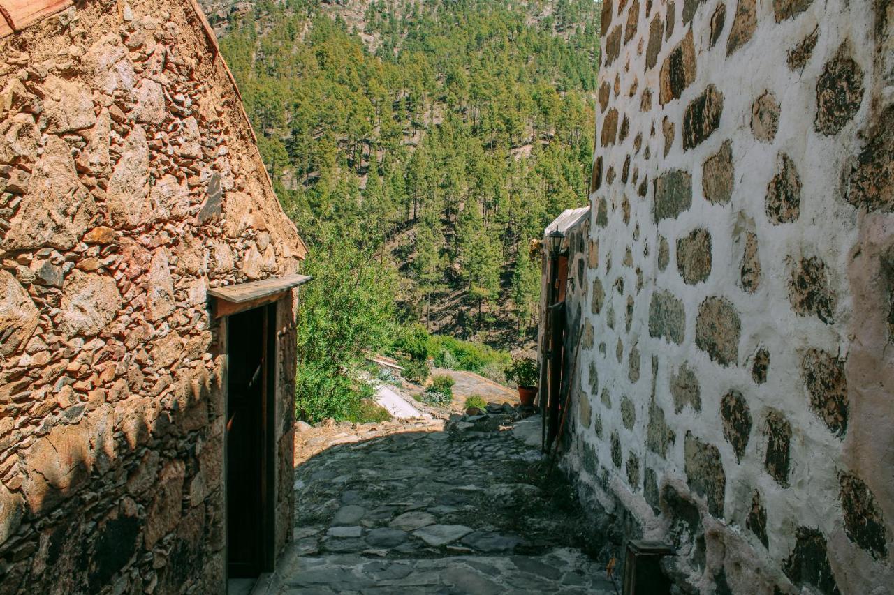 Casa Rural Lomito Del Pino 克鲁兹·德·特赫达 外观 照片