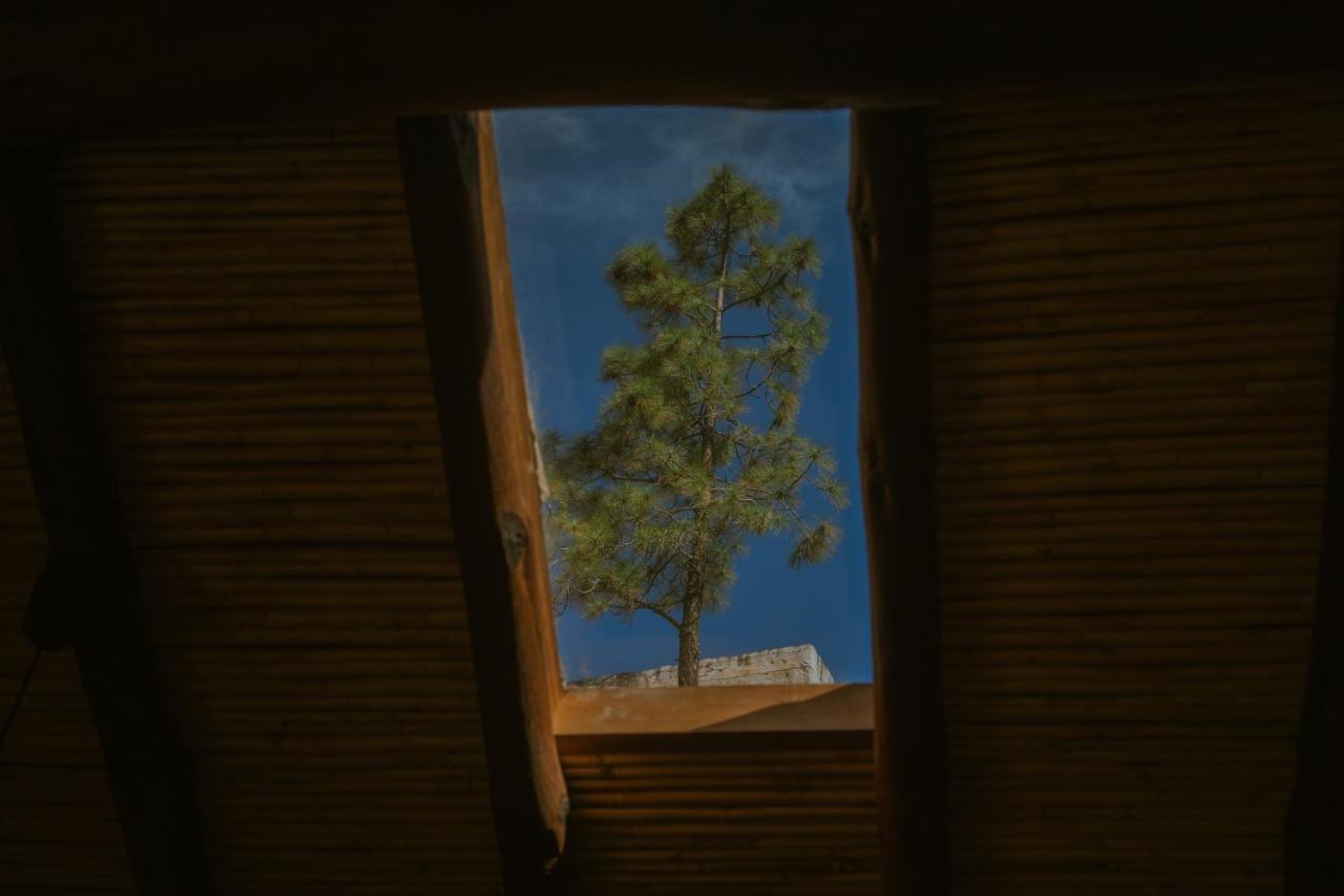 Casa Rural Lomito Del Pino 克鲁兹·德·特赫达 外观 照片