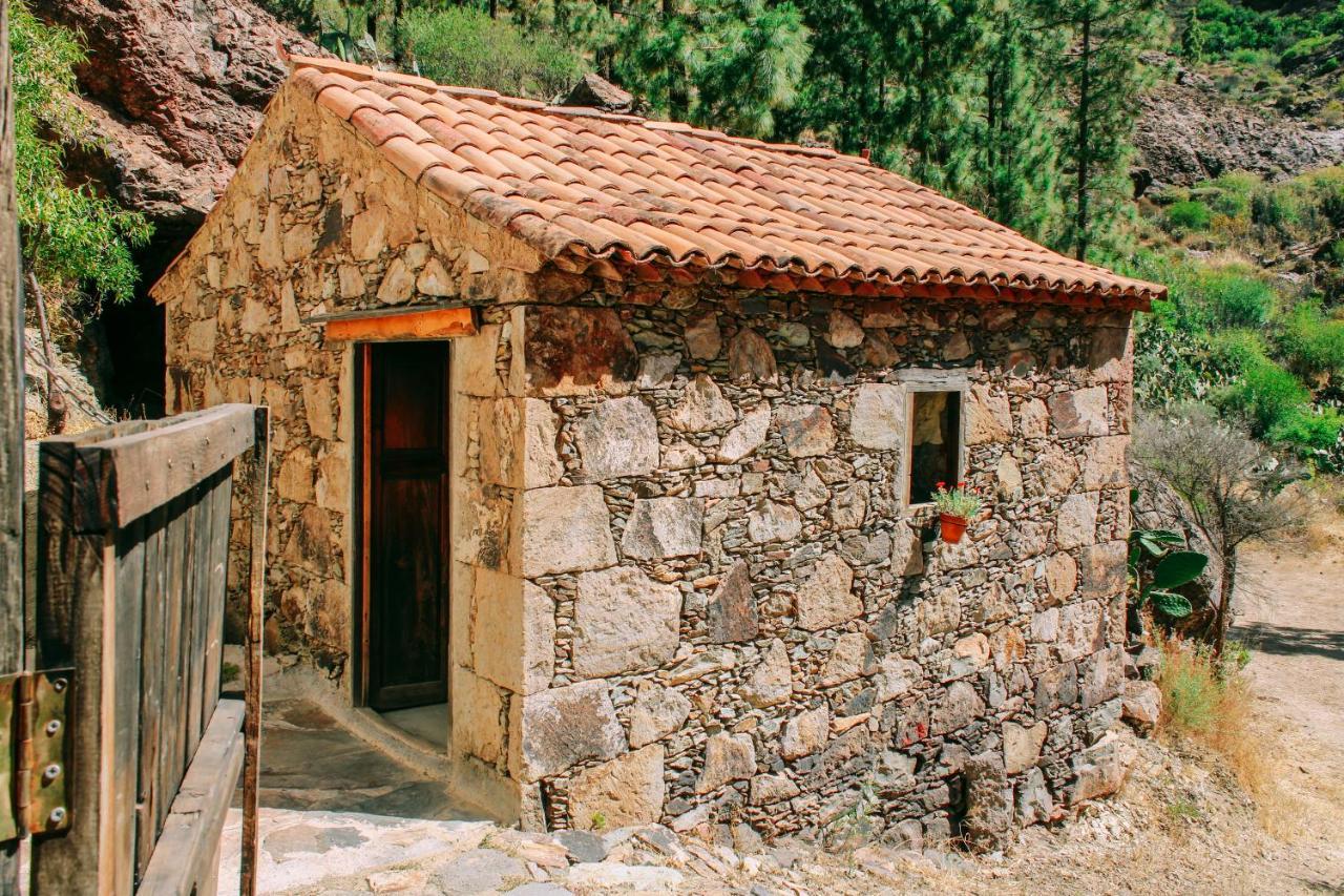 Casa Rural Lomito Del Pino 克鲁兹·德·特赫达 外观 照片