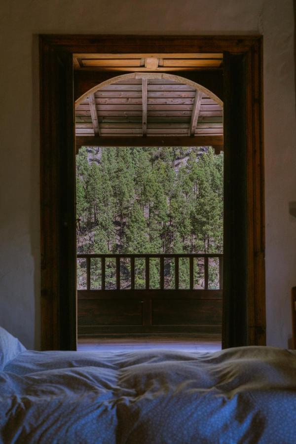 Casa Rural Lomito Del Pino 克鲁兹·德·特赫达 外观 照片